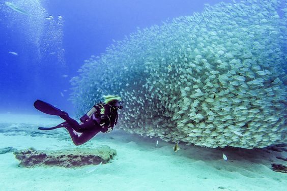 Bautismo de Buceo en Lanzarote