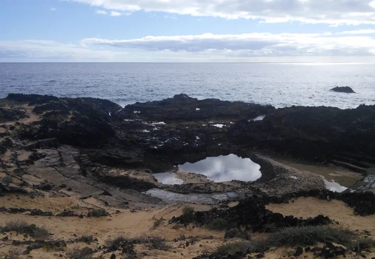 Guia para bucear en la Costa Noreste de Lanzarote